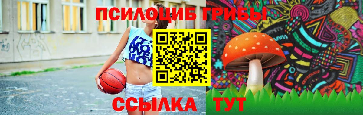 Псилоцибиновые грибы Magic Shrooms  магазин продажи наркотиков  Строитель  Вход с VPN 